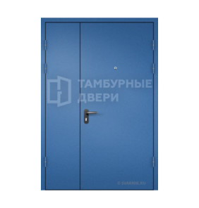 Дверь тамбурная глухая в подъезд порошок — скелет ТД-241