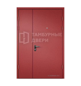 Дверь тамбурная глухая в подъезд порошок — скелет ТД-201